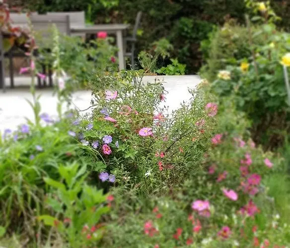 Appartement Hillside View