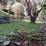 Hillside View Apartmán *