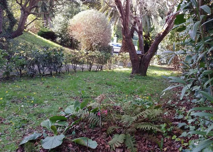 Hillside View Apartment *