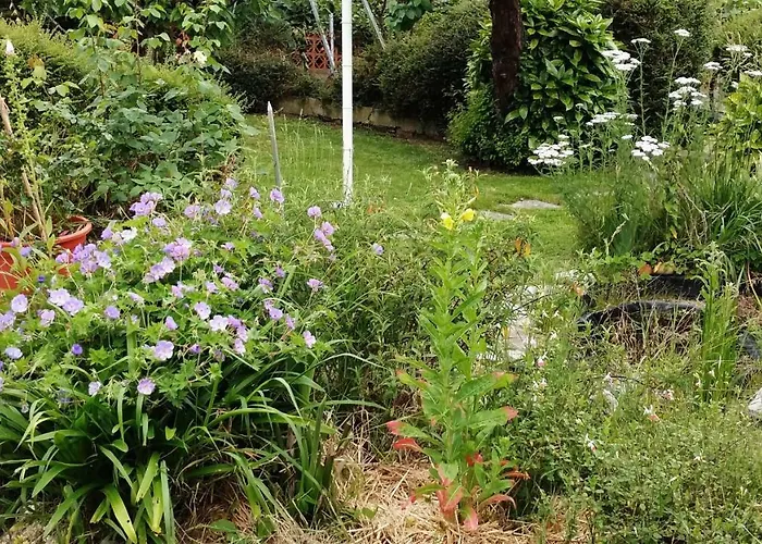 Hillside View * Plentzia